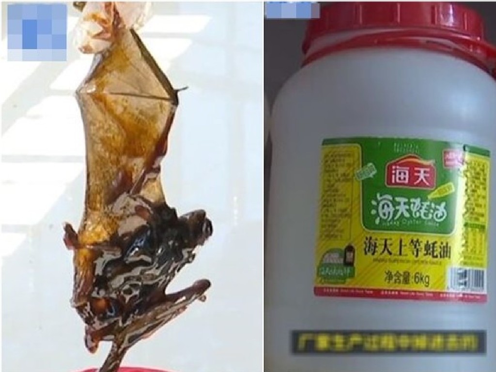 中國蠔油樽底藏蝙蝠！買家食用 3 個月後始發現