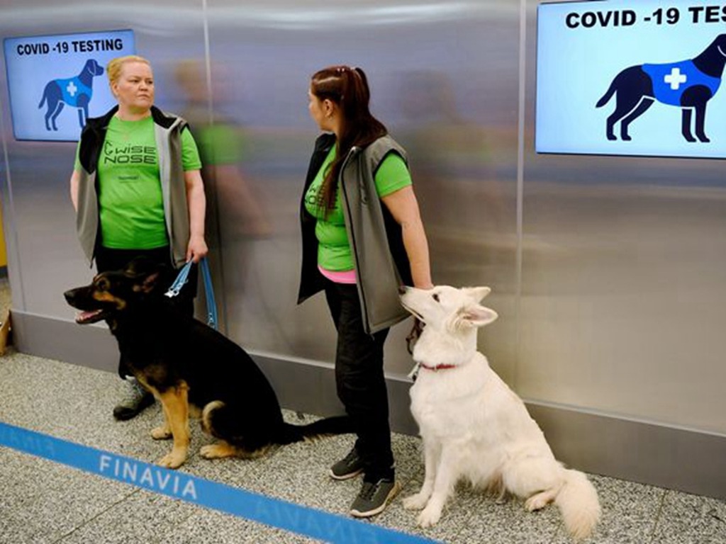 【新冠肺炎】芬蘭機場試用緝「毒」犬 檢疫每名旅客僅需 1 分鐘