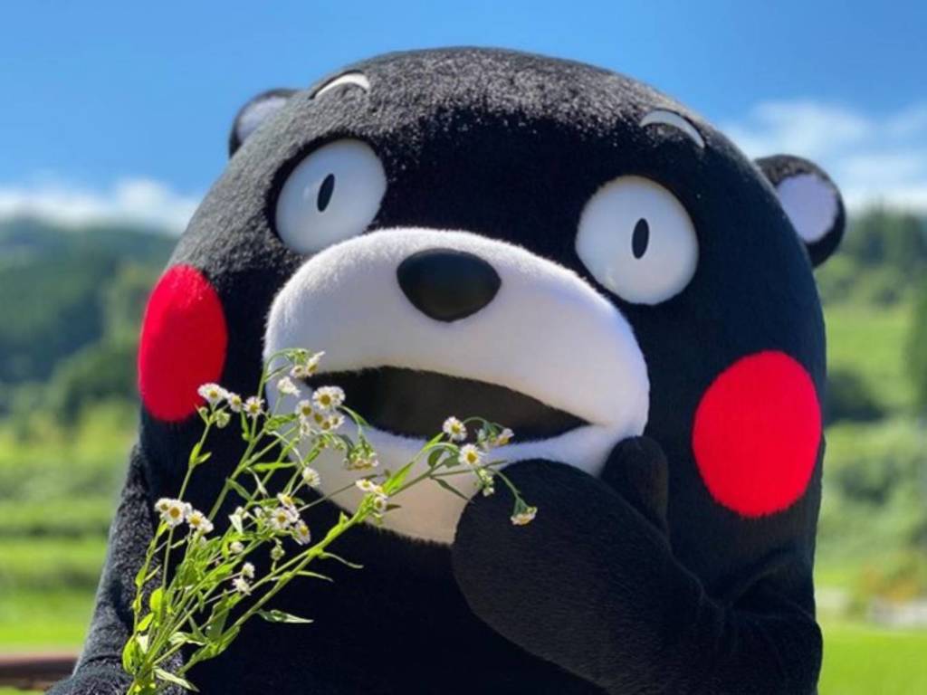 日本吉祥物熊本熊被「迫婚」？熊本縣拒絕：他只是個孩子！