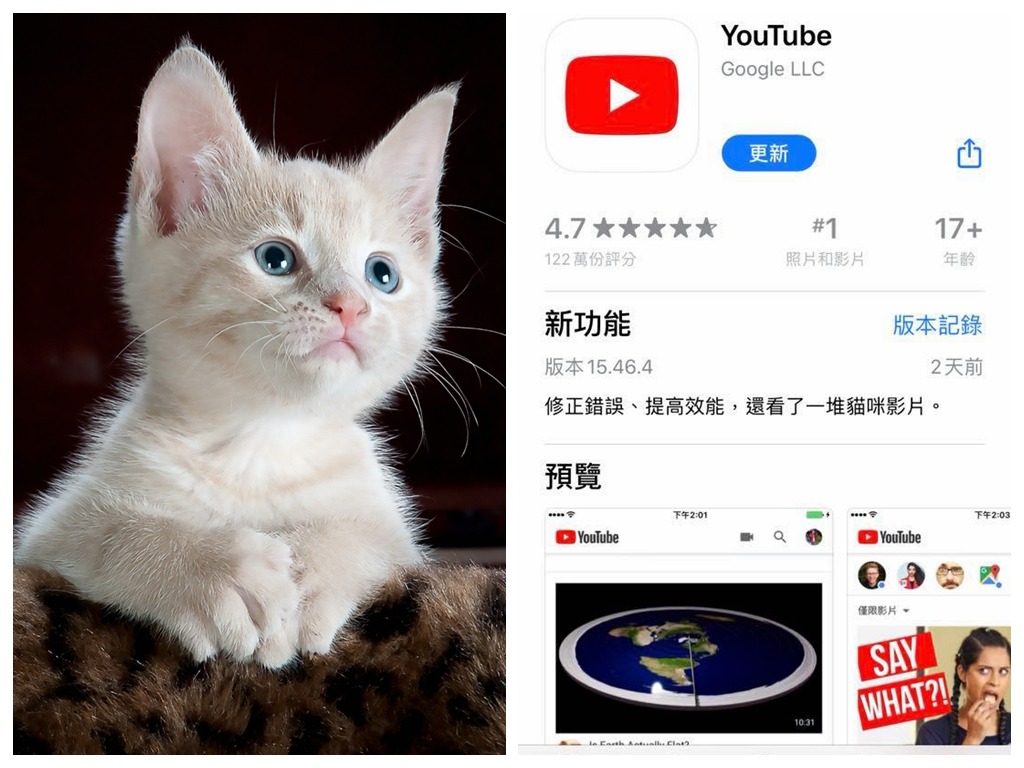 YouTube 工程師更新版本記錄有彩蛋  被發現「貓奴」身份