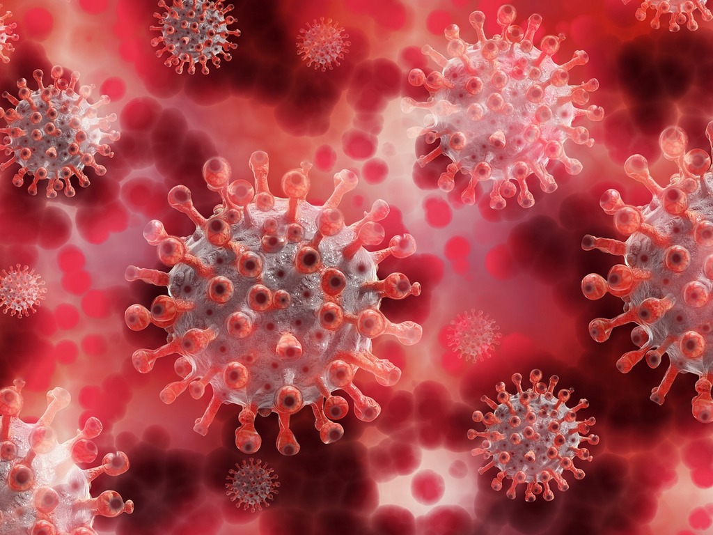 研究指新冠病毒於中國出現突變  加速全球爆疫？
