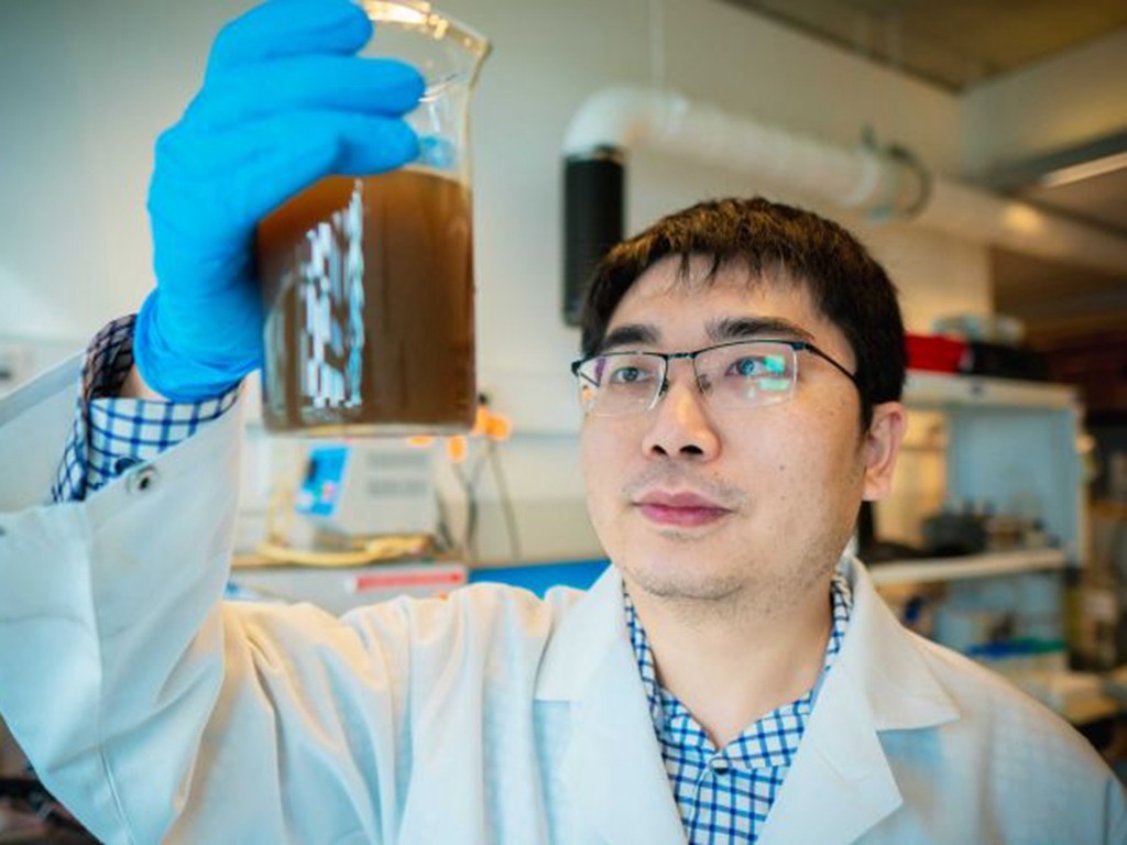 化糞便為能源 澳洲華裔科學家獲獎