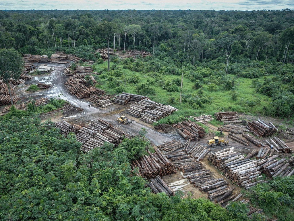 亞馬遜雨林砍伐 12 年來最嚴重  過萬平方公里森林一年間消失