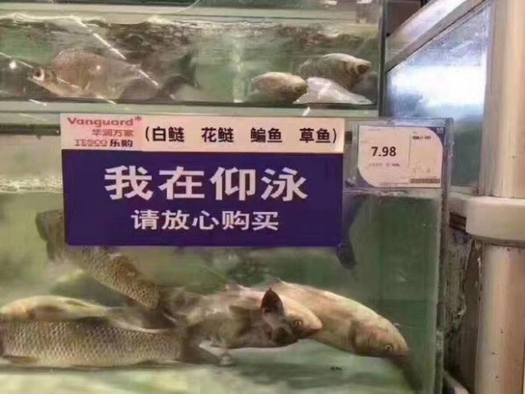 內地超市出現新品種「仰泳魚」？網民嘲：無良兼厚臉皮