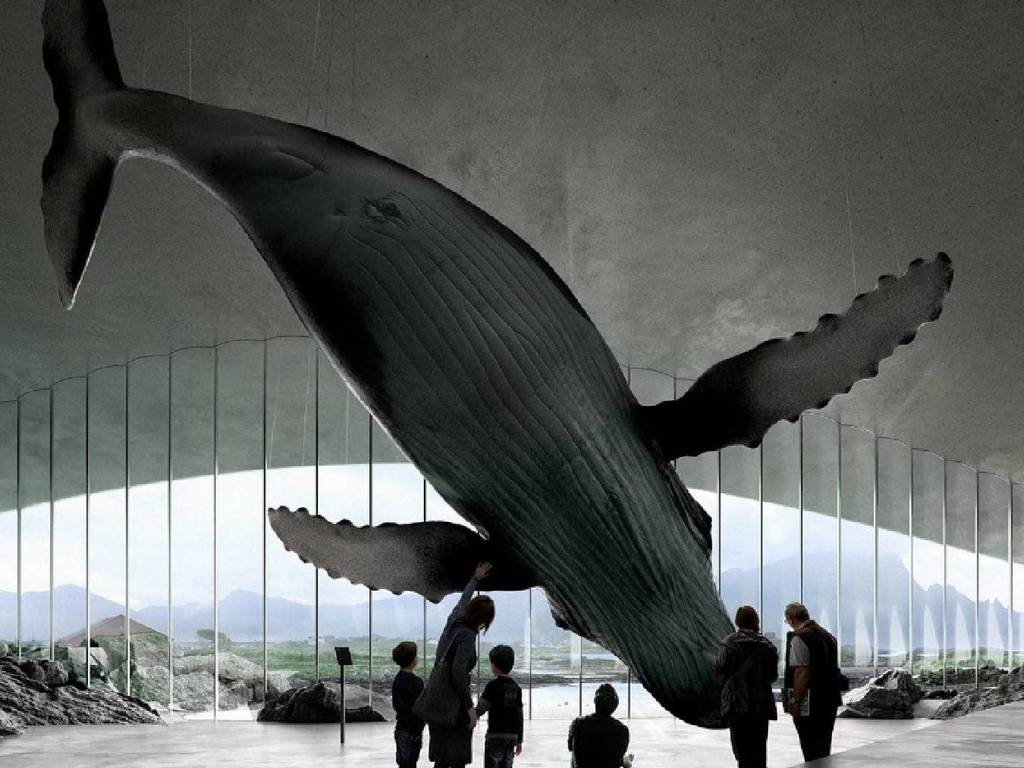 挪威深海峽谷鯨魚博物館 2023 年登場  近距離觀鯨無難度