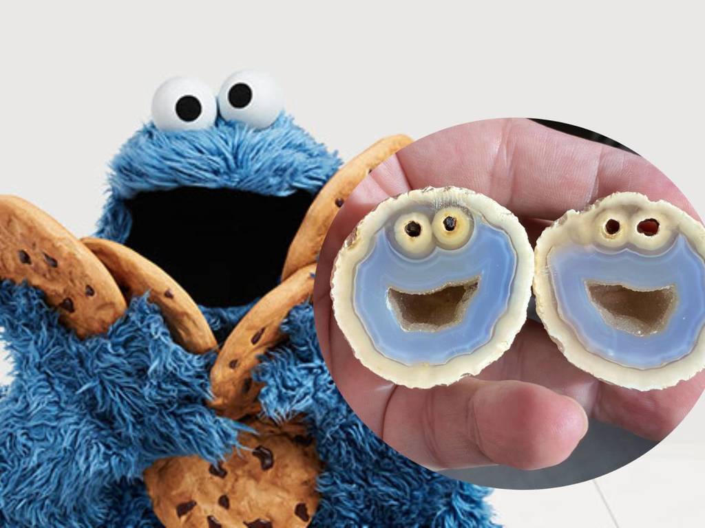 地質學家發現 Cookie Monster 石頭！芝麻街 fans 願出 $78000 收購