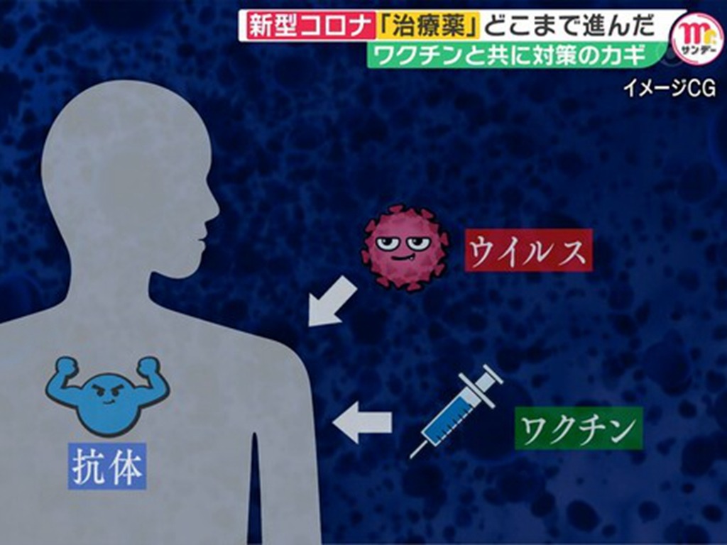 日本研發「人工抗體」 可捕捉新冠病毒防入侵增生