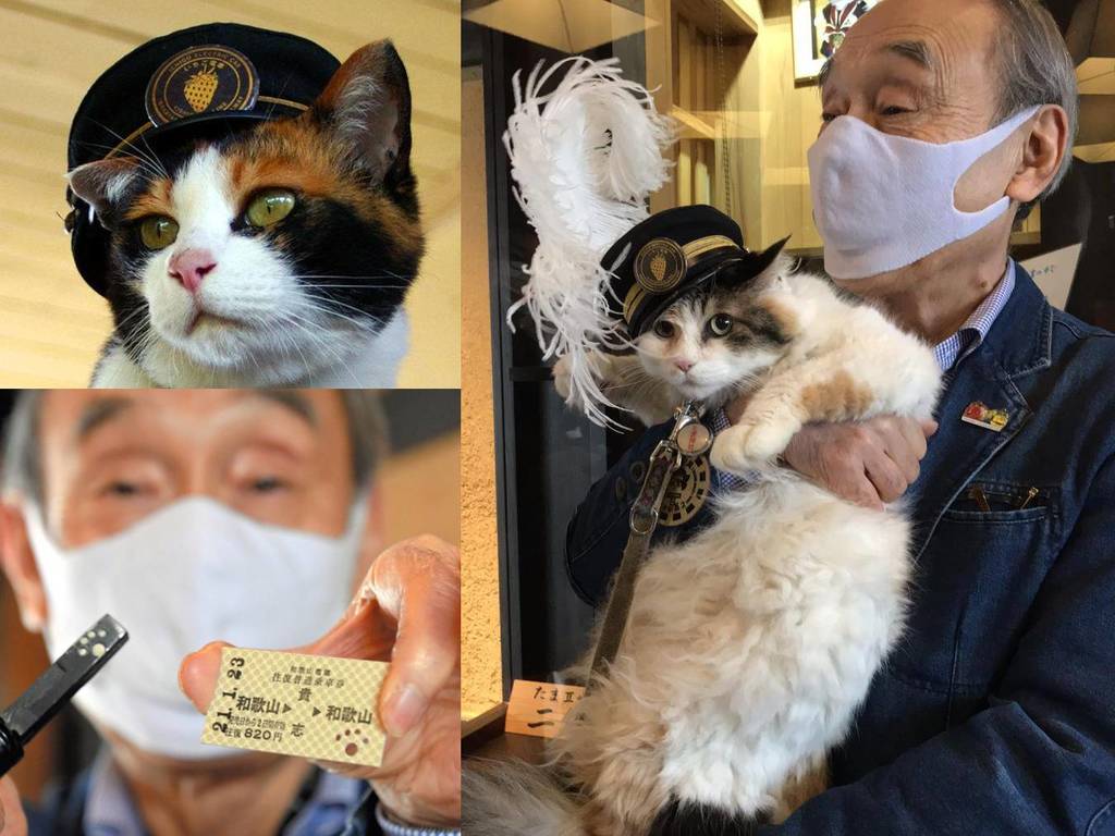 和歌山電鐵貓站長「二代玉」升職  車票打孔變貓肉球值得收藏