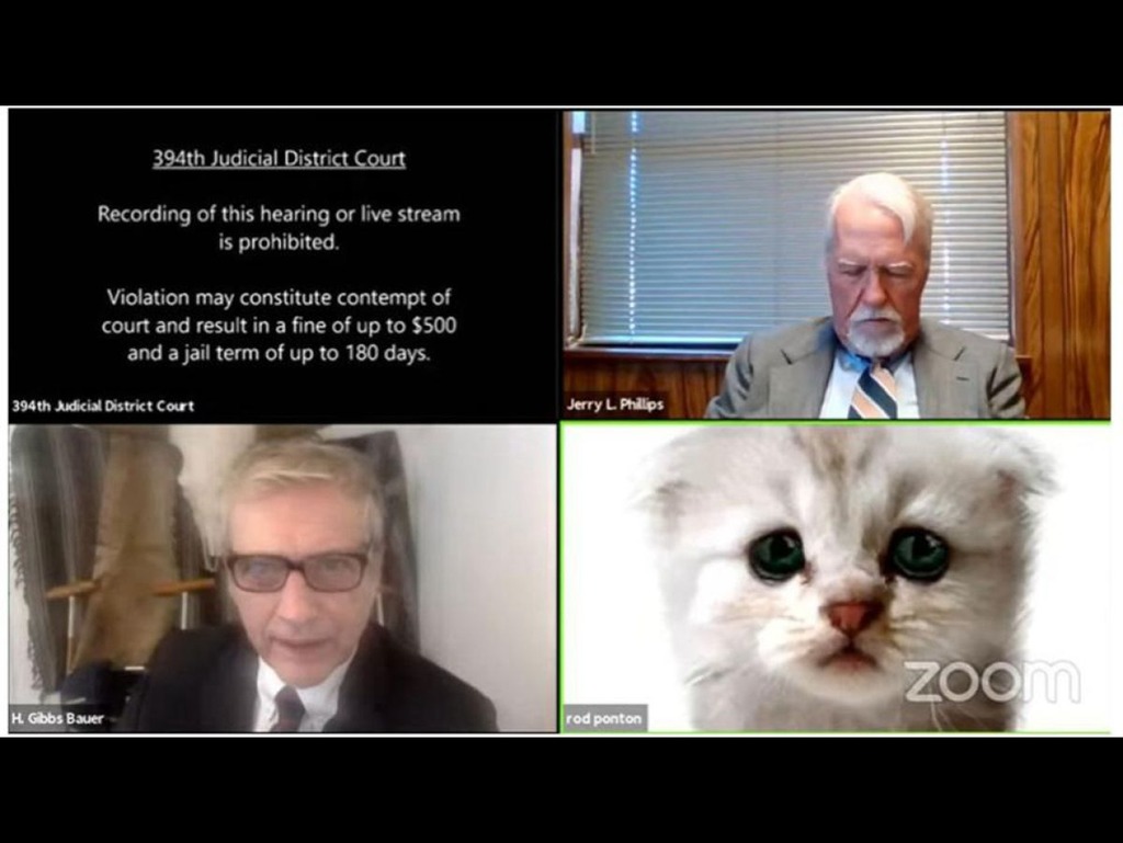 美國律師用 Zoom 誤開貓濾鏡 跟法官澄清「我不是貓」