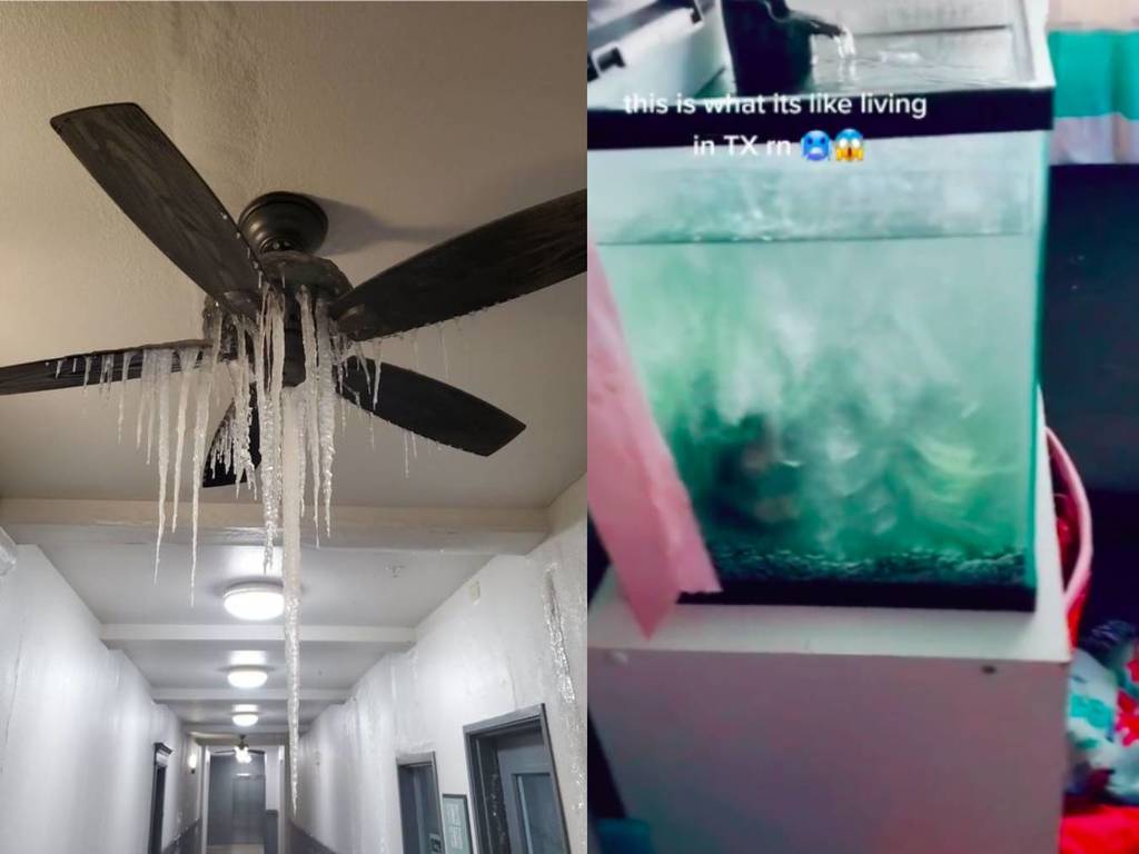德州暴雪 -18°C 下 400 萬戶停電  居民家具結冰馬桶吊扇現冰柱