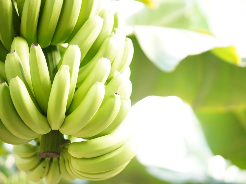 日本北海道開賣連皮食香蕉  每隻索價 HK＄81