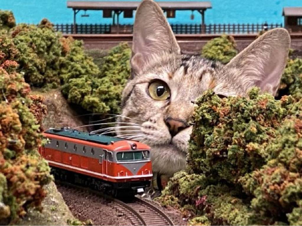 日本鐵道餐廳「巨型貓貓」寫真爆紅！肚腩擋路軌任人拍照