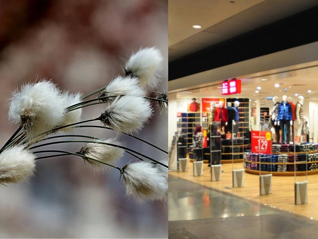 【新疆棉風波】H&M 等大廠拒用新疆棉  Adidas．UNIQLO 遭官媒點名批評