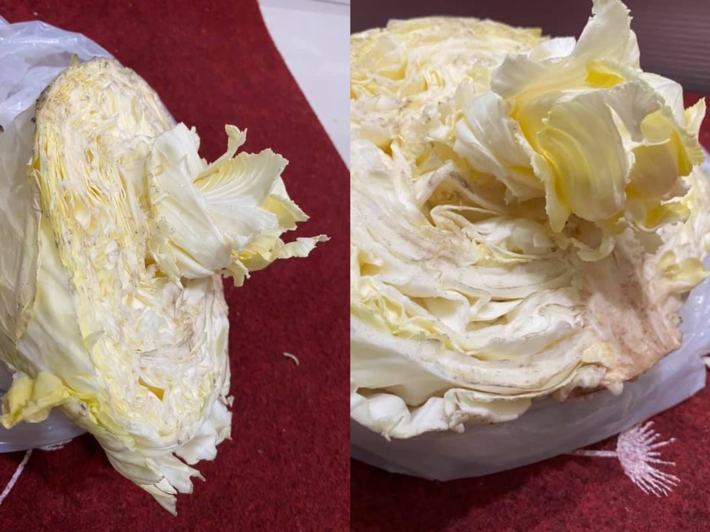 椰菜中間切半放雪櫃凍一個月 竟繼續發芽生多個「小椰菜」