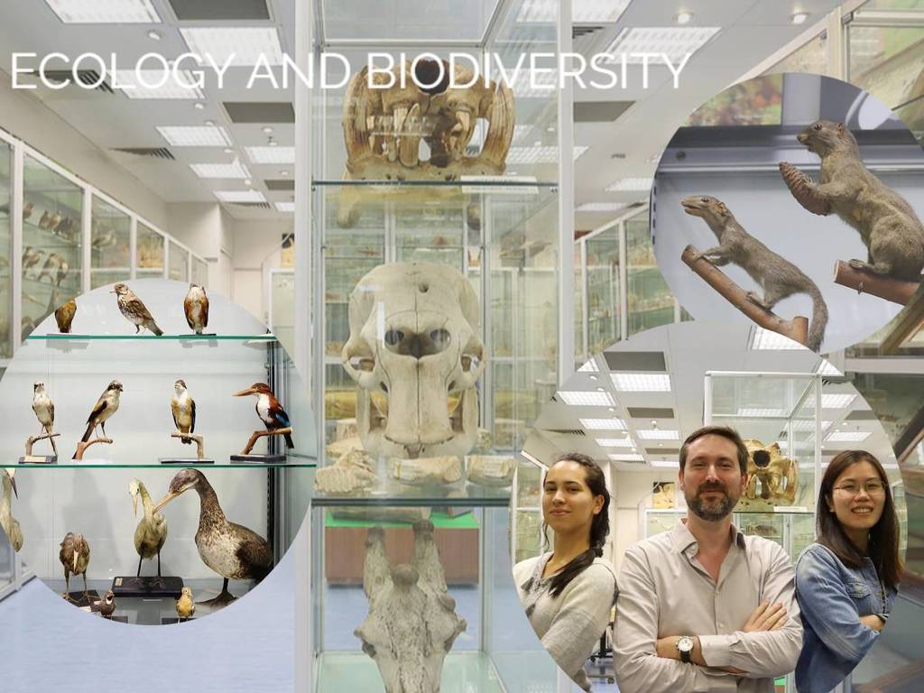 港大「生物多樣性博物館」開幕！教你 2 步輕鬆預約參觀