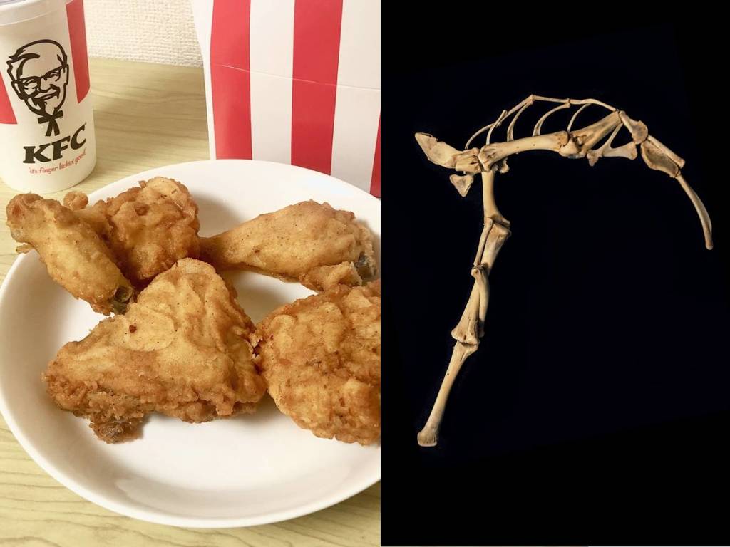 日網民效法「芒亨」取 KFC 雞骨做素材！成功造出「雞骨鐮刀」