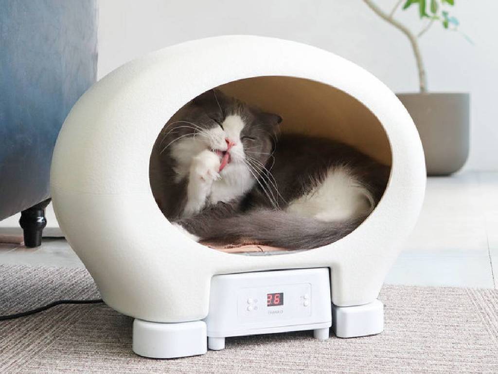 日本推冷暖調溫智能貓窩！14 至 40 度任調好慳電？