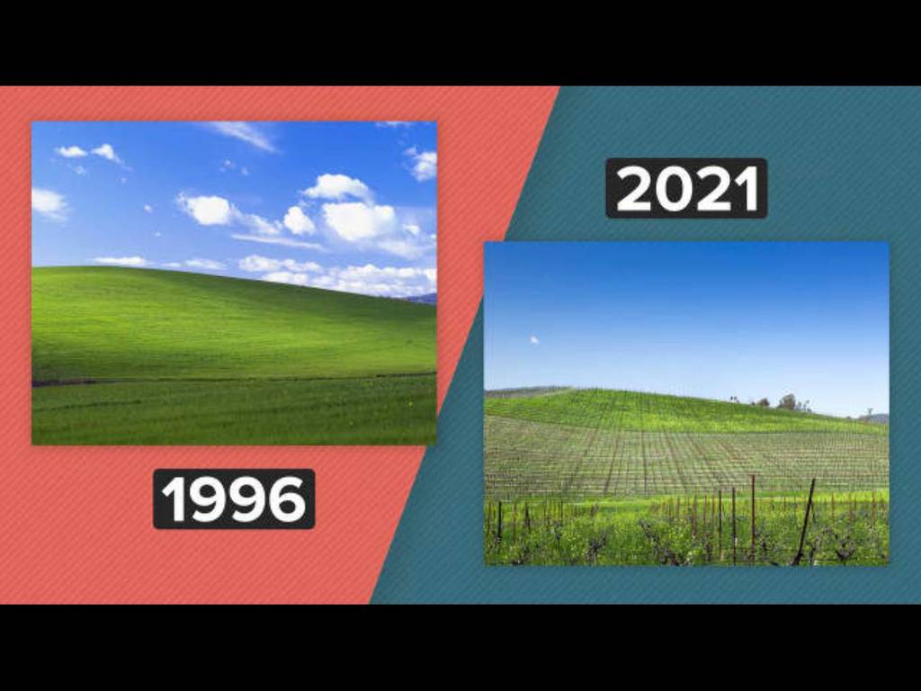 【多圖】Windows XP 山丘桌布 Bliss 取景地今昔對比！25 年後竟變成這樣？