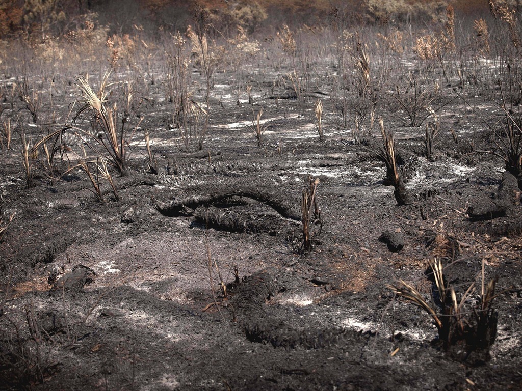 【聯合國報告】最快 2030 年全球均溫上升 1.5℃ 氣候災難將更頻繁