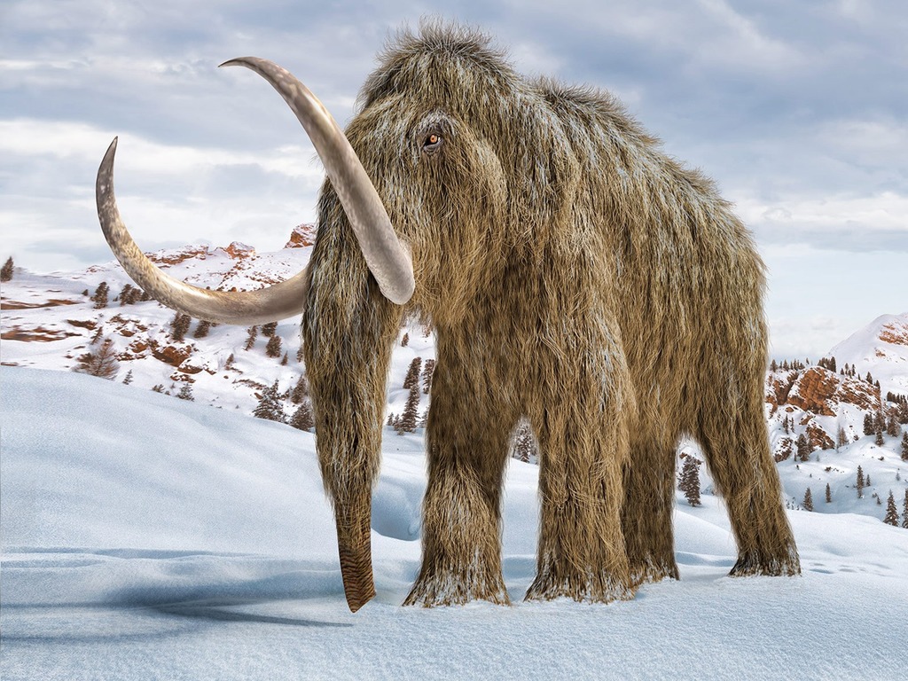 【侏羅紀公園真實版】初創公司研新基因編輯技術 計劃復活 4,000 年前絕種長毛象