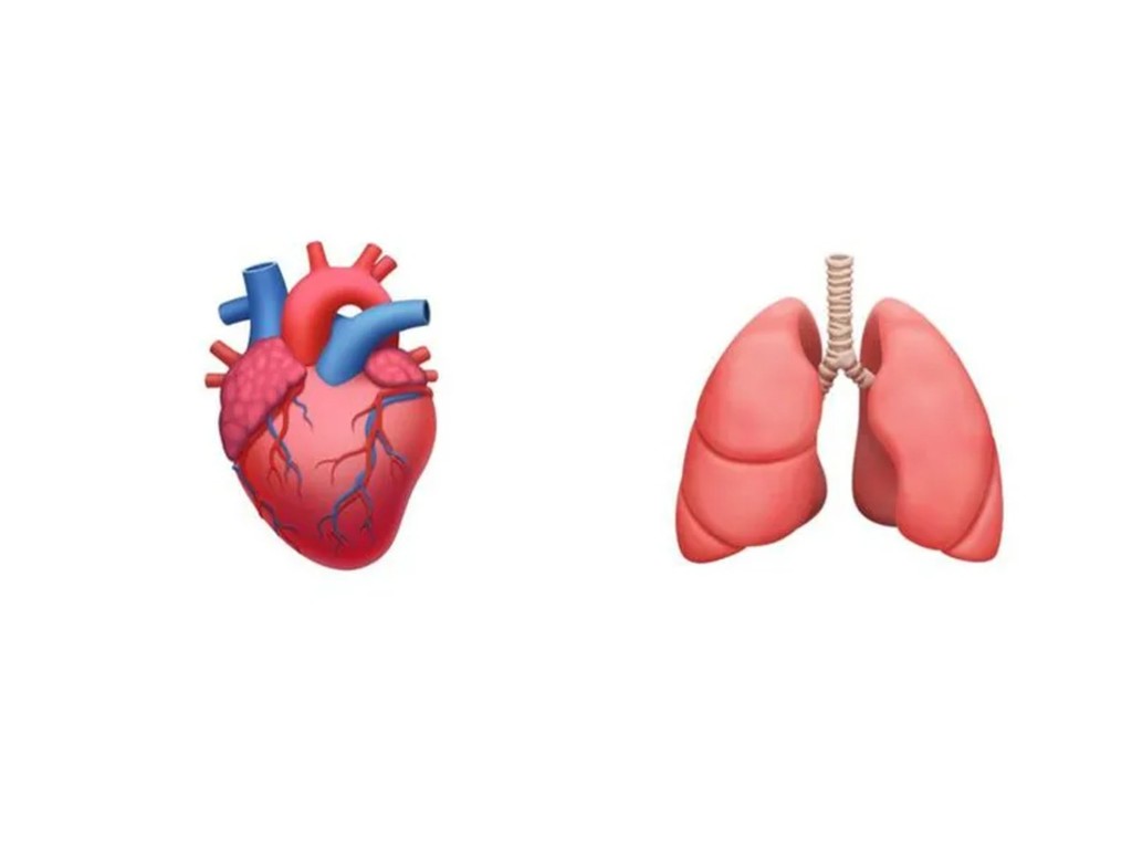 醫生建議推更多「醫學用」Emoji！有助醫患溝通！