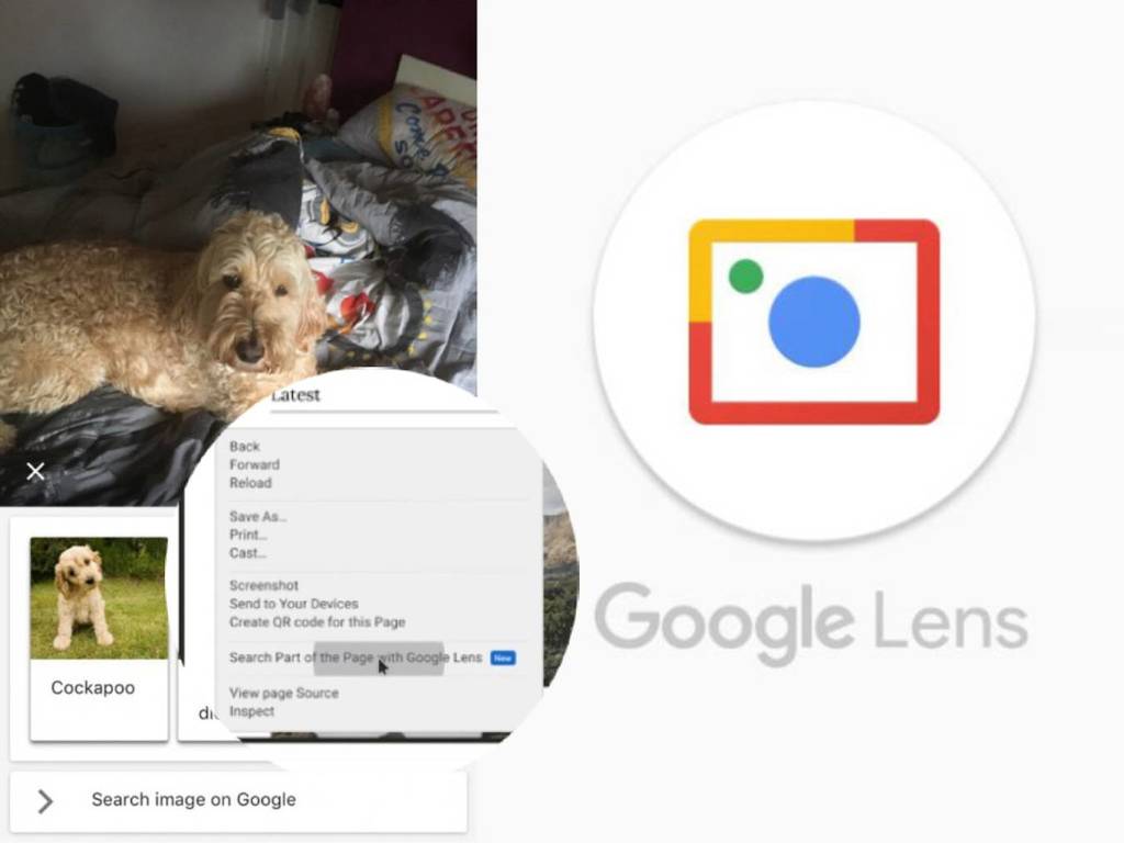 Google Lens 將登錄電腦版 Chrome!AI 模型「MUM」圖+文搜尋新體驗