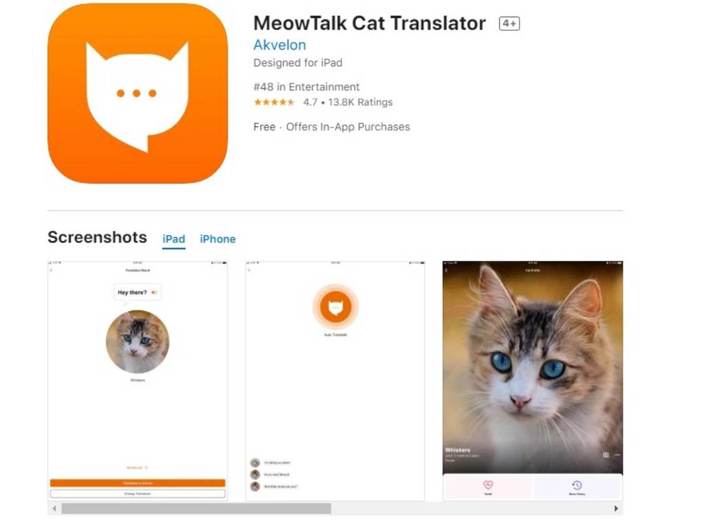 貓語翻譯 App 爆紅！主人們紛紛大讚好準