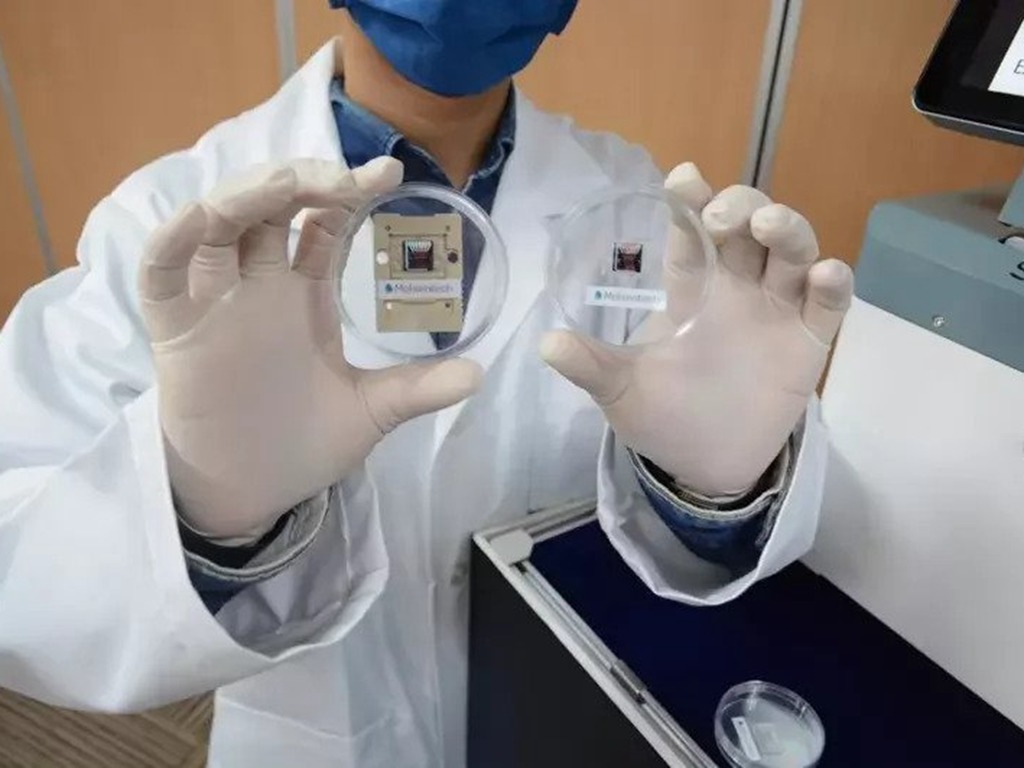台灣研發檢測新冠病毒晶片 3 分鐘可驗出 Omicron