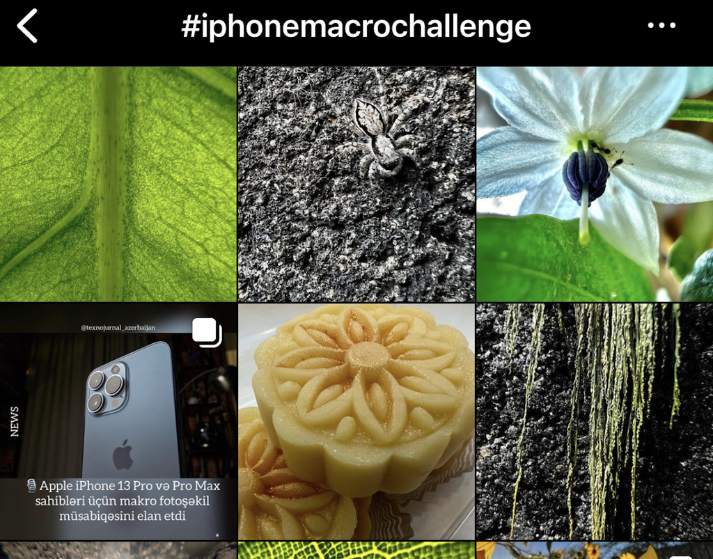 iPhone 13 Pro 用家注意！Apple 舉行微距攝影《Shot on iPhone Challenge》挑戰