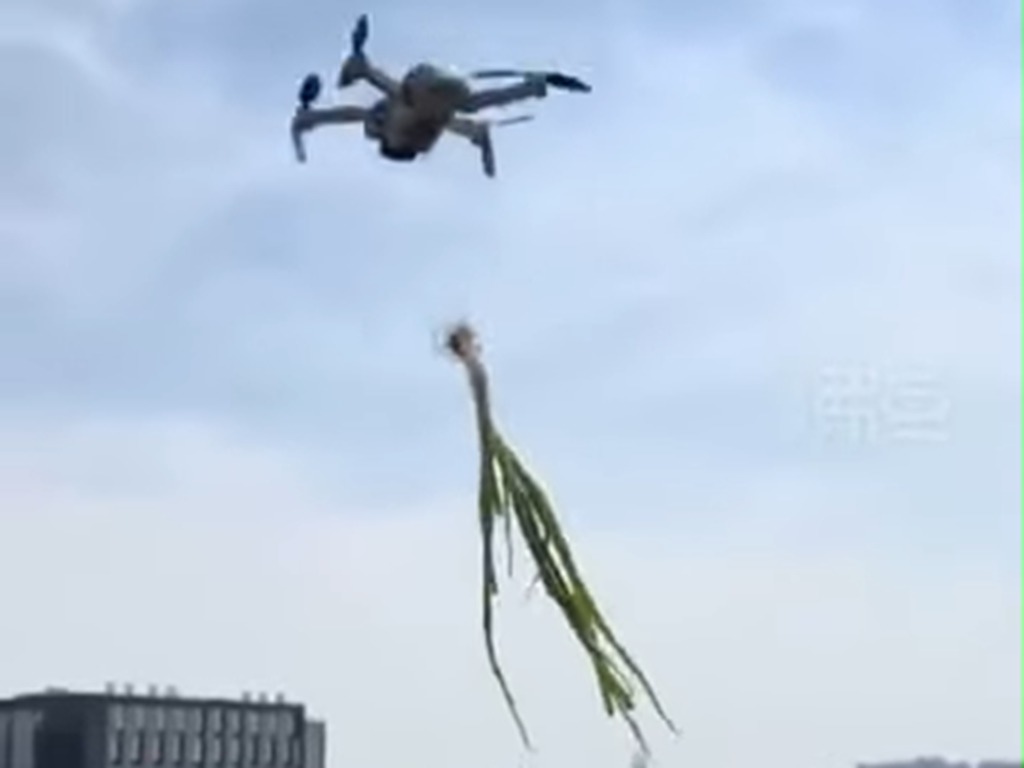 【新冠肺炎】上海封城女子用無人機送蔥 結果雙雙墜落