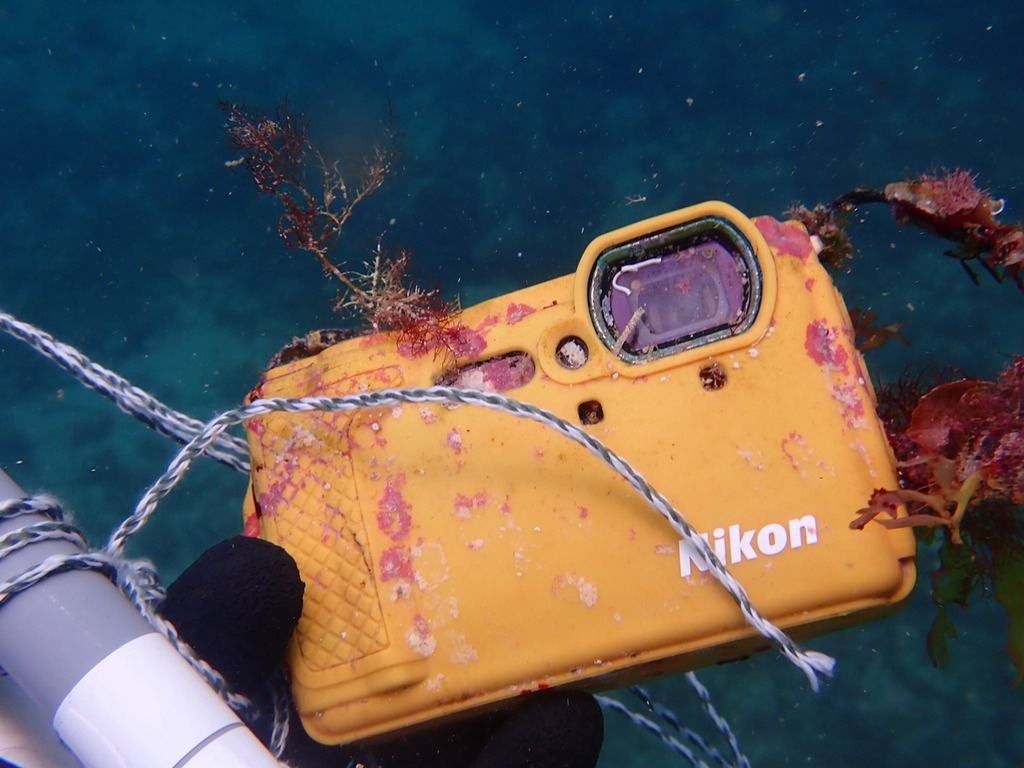 Nikon 防水相機海中丟失 1 年 長滿海藻仍能運作