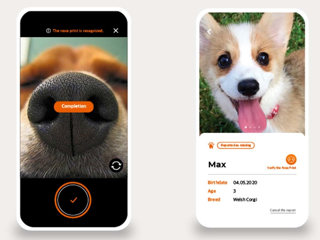 韓國開發 Petnow 手機 App 掃描狗鼻即可尋回主人