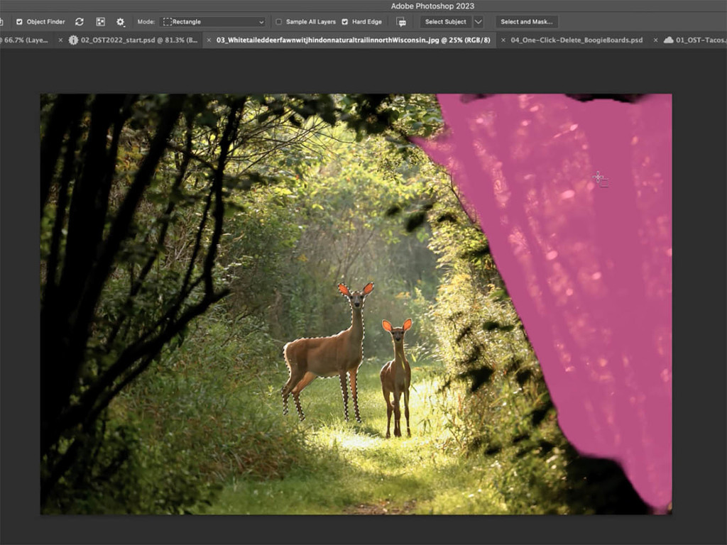 Adobe MAX緊抱元宇宙 Photoshop功能再進化