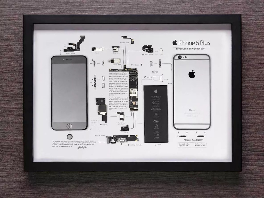 Apple iPhone 6 Plus 拆機變藝術品 盛惠 229 美元