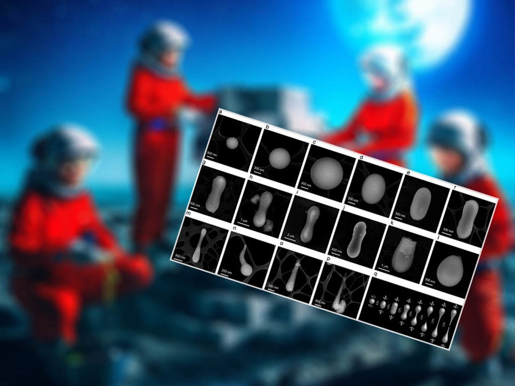 嫦娥 5 號首現月球天然玻璃 中科院:未來可建月球基地