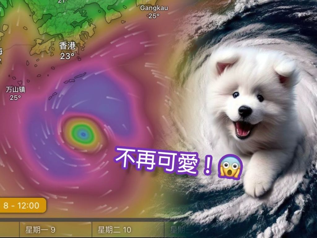 【颱風小犬】天氣預測下午變惡犬！命名大有來頭？ 網民發揮創意 AI 繪製超可愛「小犬」