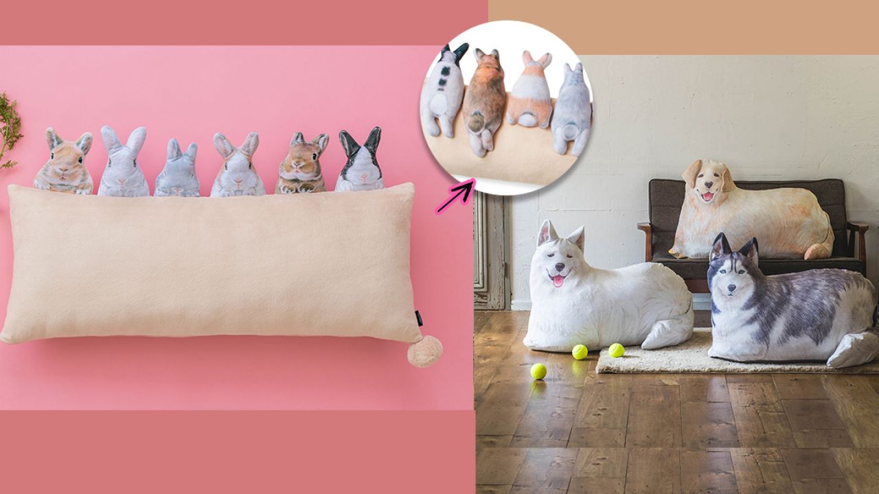 6隻兔兔一字排開！軟綿綿質感！日本YOU+MORE!動物造型攬枕+收納袋