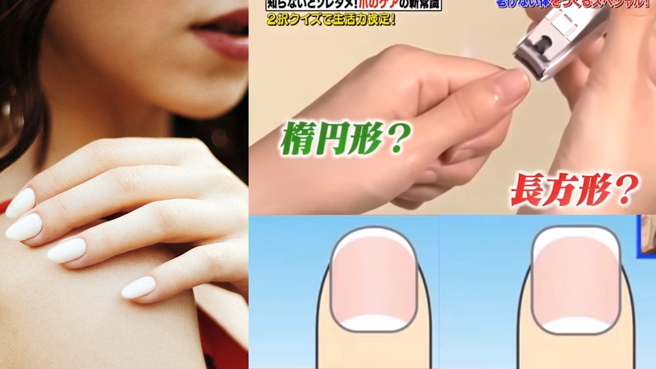 日本節目：指甲原來要這樣剪？內附註冊皮膚科醫生講解指甲冷知識