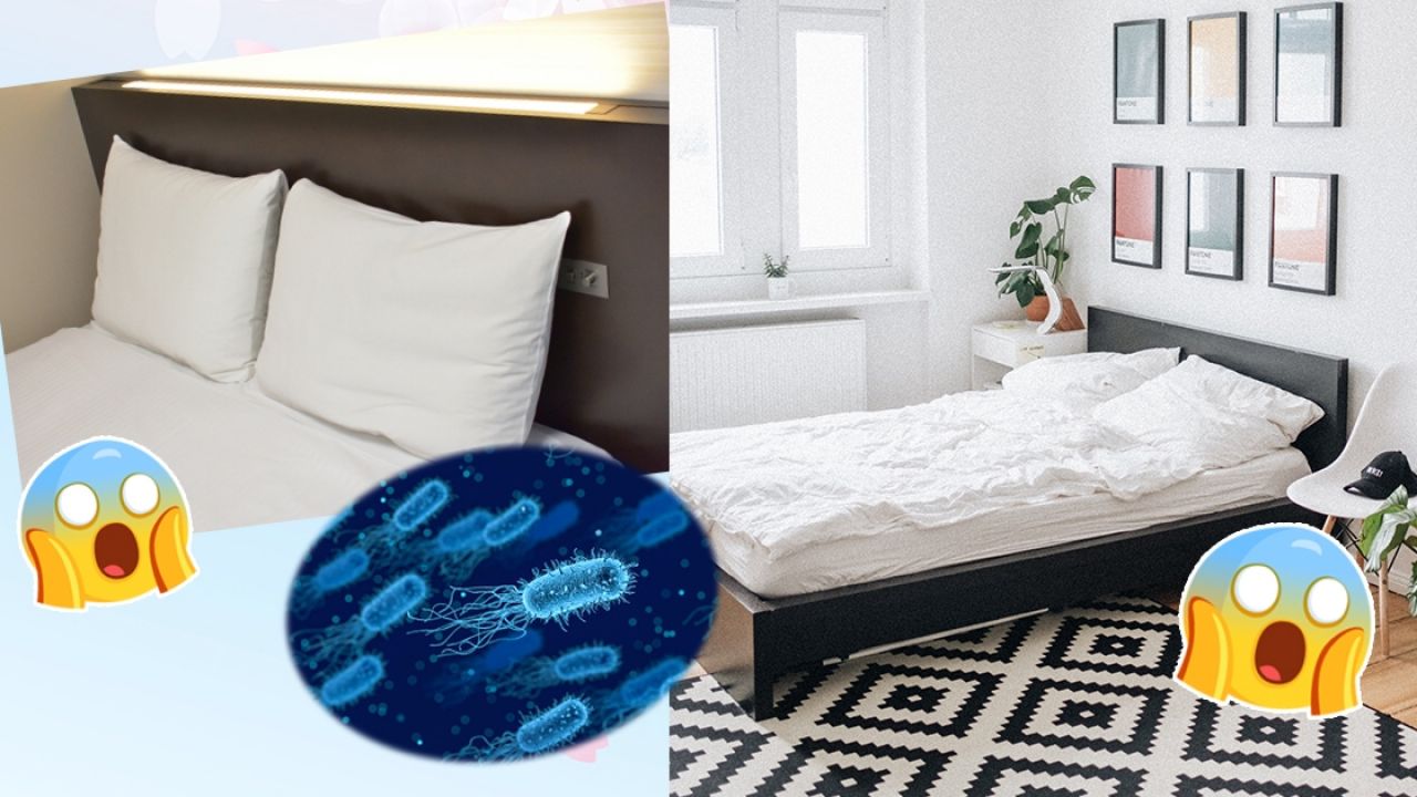 你習慣多久洗一次床單？外國研究：7日不換床單  等同與細菌一起睡覺！