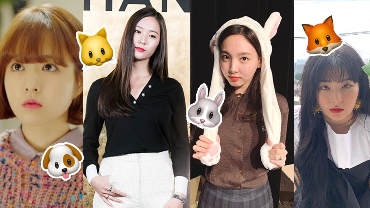 從4大「動物臉型」看性格分析！內附女韓星臉型合集！你像小貓、兔子還是小狗？