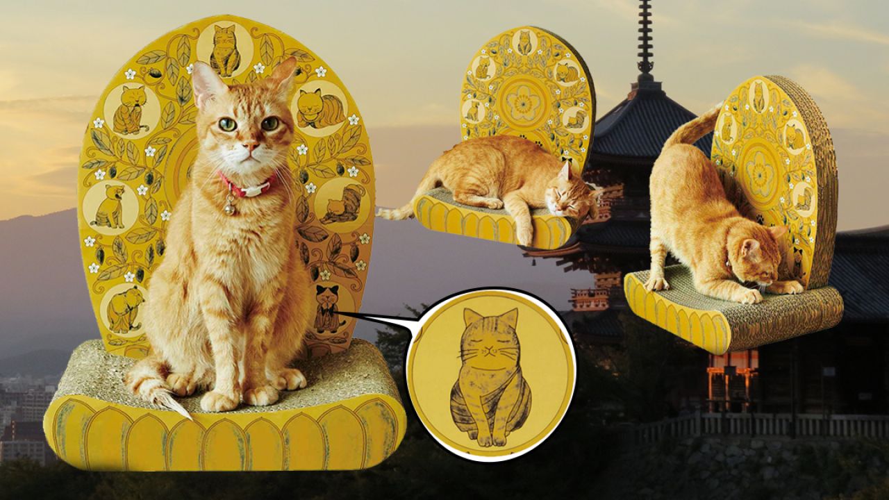 【搞笑佛系雜貨】日本推出貓咪專用「打坐椅」！貓主子坐上去霸氣盡現！