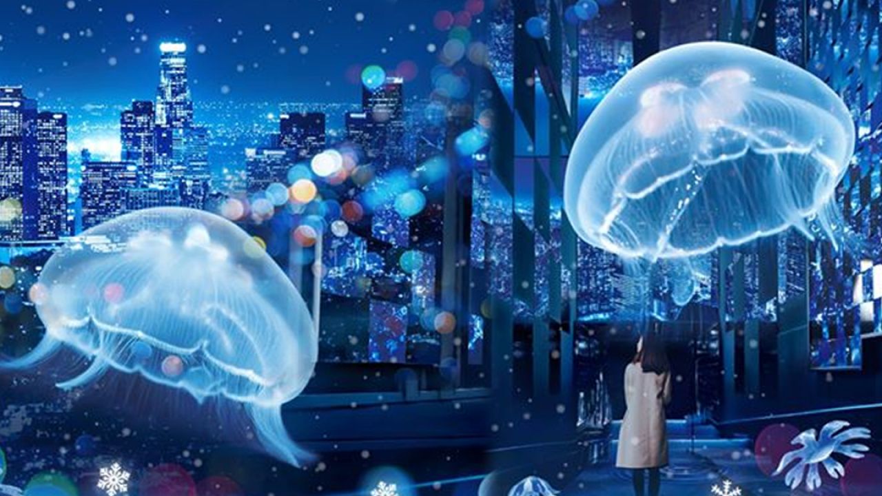 東京水族館「雪與水母」互動藝術展開鑼！50米萬花筒隧道+超奇幻水母雪景！