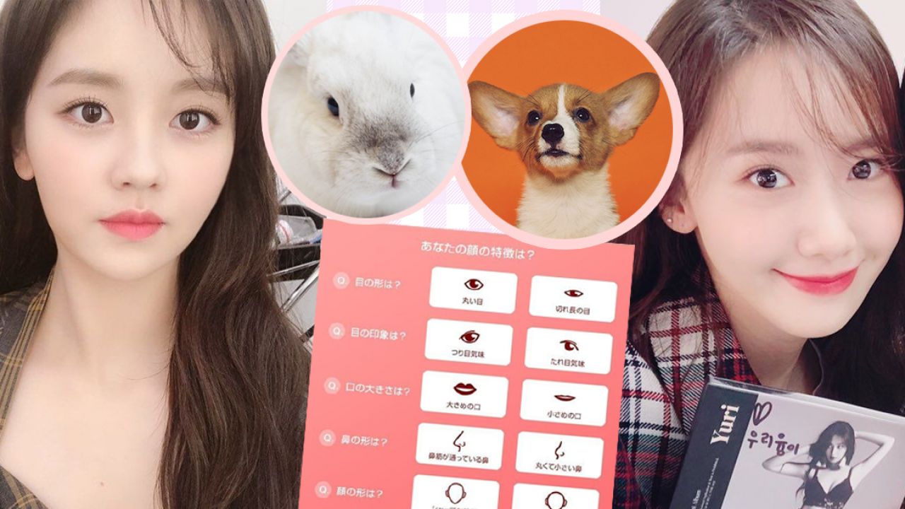 日本人氣「動物顏診斷」！你是小狗/貓/兔子/狐狸？附性格、戀愛分析！