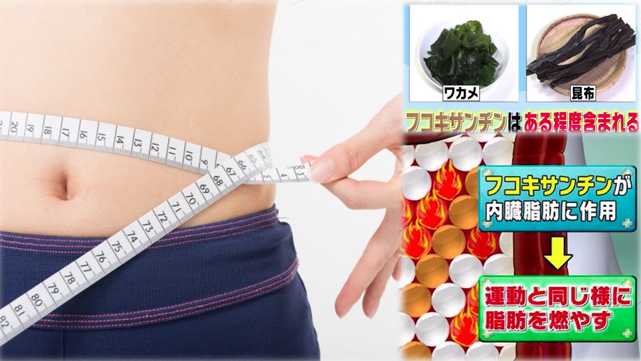 日本專家公開減脂最強食物！燃脂效果相等於做運動！這食材比海帶多2倍減肥效果！
