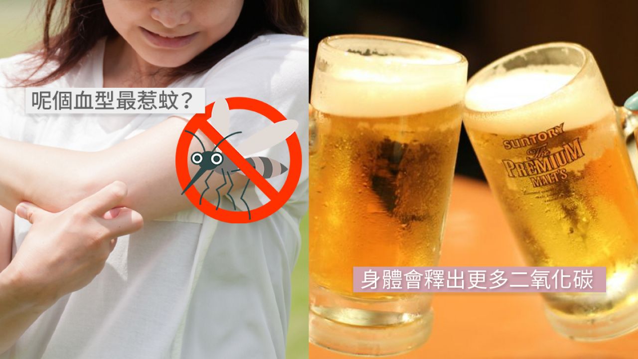 日本節目拆解3大惹蚊原因(附預防措施)！愛飲碳酸飲品都中！劃十字止癢原來無用？