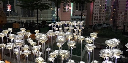 好浪漫 LED 玫瑰燈海現身餐廳！