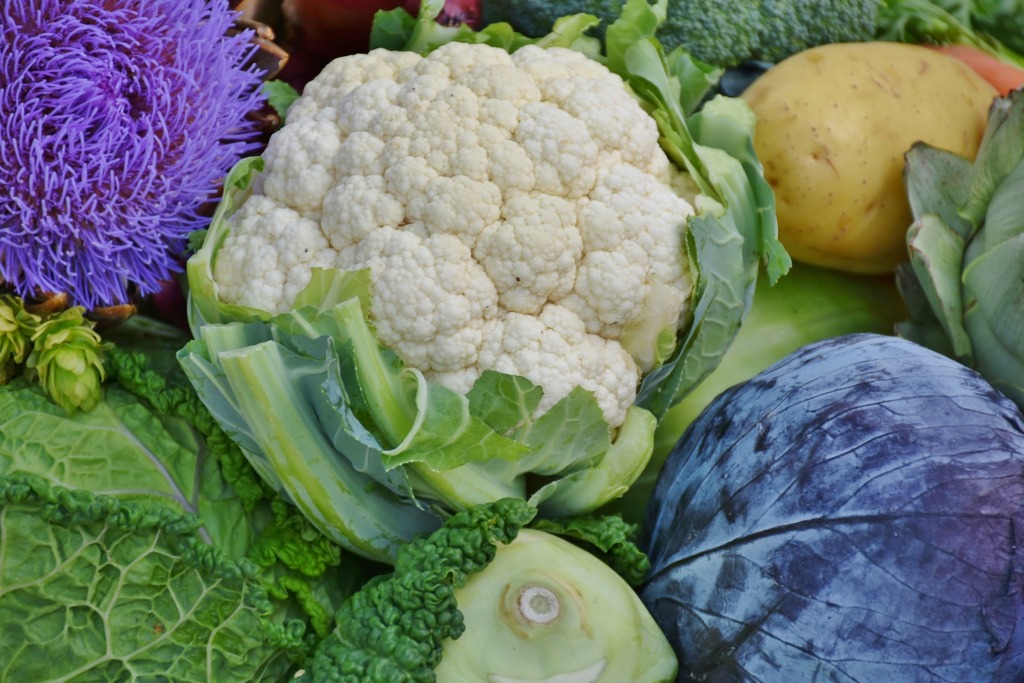 食隔夜菜高風險對身體有害？10款蔬菜亞硝酸鹽含量一覽