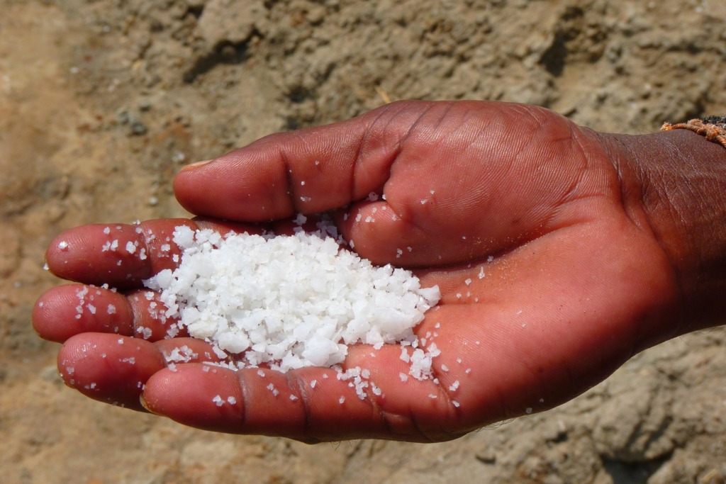 【塑膠污染】南韓研究發現全球9成食鹽含微塑膠或致癌 最嚴重樣本有萬粒膠