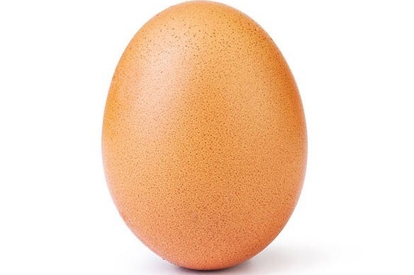 【world_record_egg】一粒雞蛋成Instagram網紅 破世界紀錄成IG史上最多Like照片