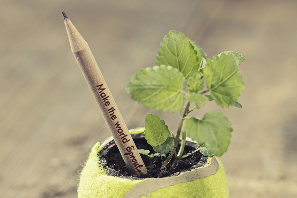 【環保種植】丹麥環保可種植鉛筆 用後可種出車厘茄 還有一個未來！